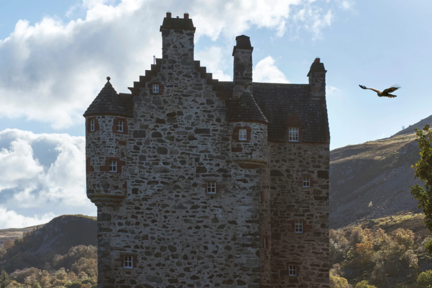 Forter Castle - Luxury Accommodation - Highlands - Services - Birds